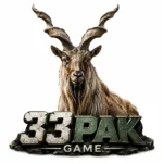 33PAK Game