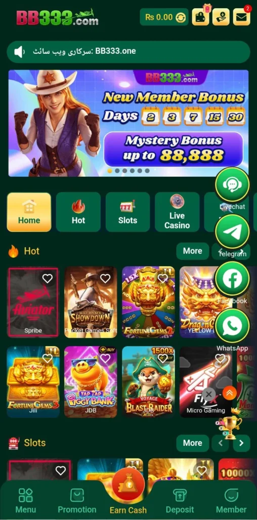 BB333 Game